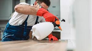 Best Commercial Pest Control  in Effingham, IL